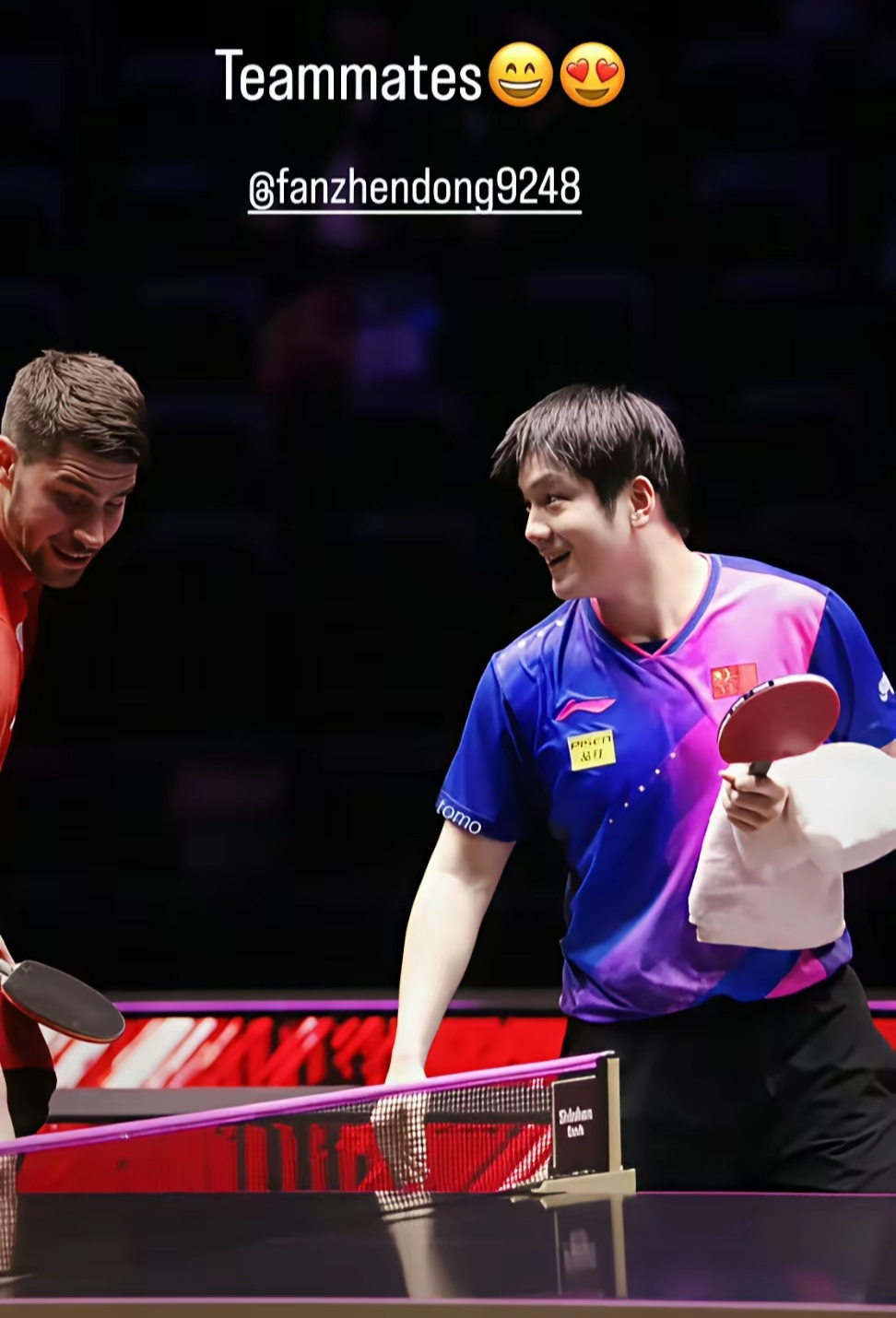 包含德国队完胜韩国队，樊振东统治全场的词条